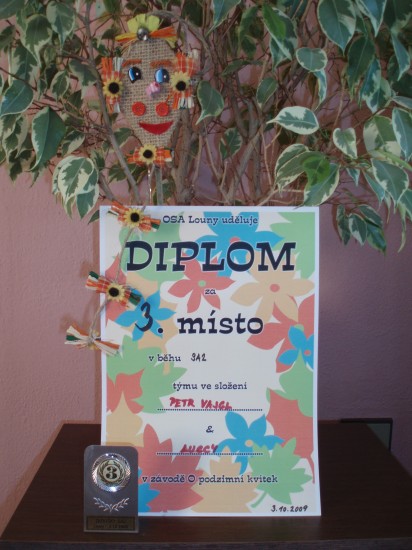 diplom
