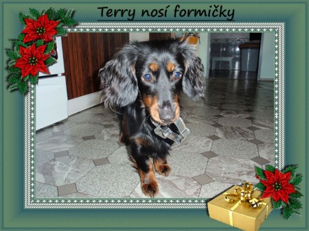 s formikou