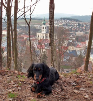 trutnov1