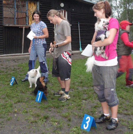 1.msto