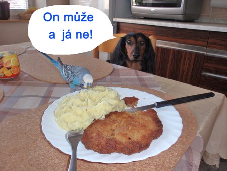 nespravedlnost