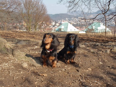 prochajda