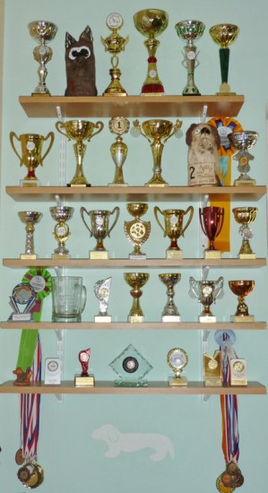 pohry2012