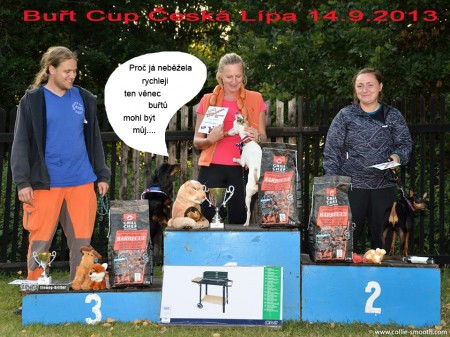 But cup 2013